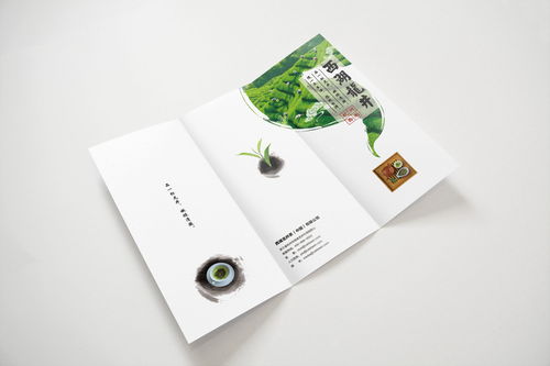 西湖龍井的平面設(shè)計(jì)藝術(shù) 視覺與茶香的交融
